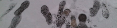 Walking in a Winter Wonderland!